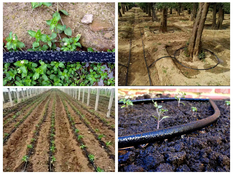 Bagaimanakah hos perendam getah digunakan untuk pengairan?